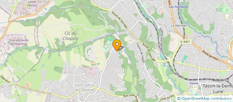 localisation de l'entreprise DL - STRATEGIE TRANSITION CONSEIL  SAINT-GENIS-LES-OLLIERES