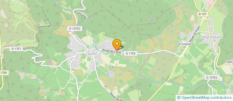 localisation de l'entreprise DLMCONSEIL  MONTPELLIER