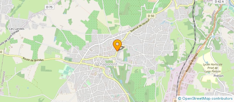 localisation de l'entreprise DM BRICOLAGE  CHAPONOST