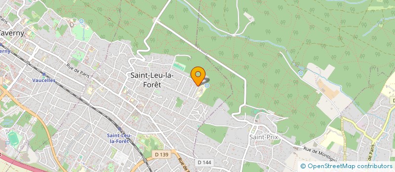 localisation de l'entreprise DM INVEST  SAINT-LEU-LA-FORET