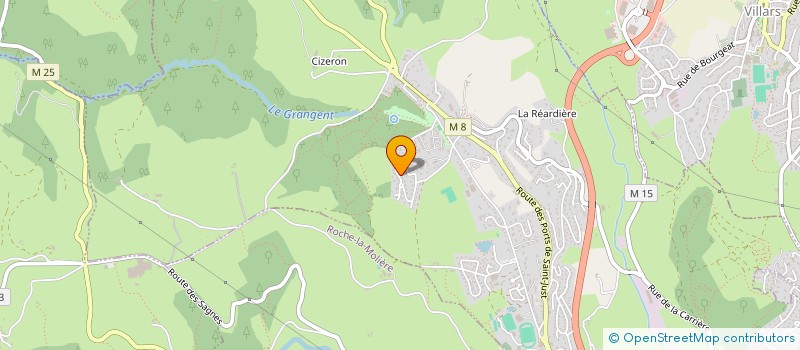 localisation de l'entreprise DM PAYSAGE  SAINT-GENEST-LERPT