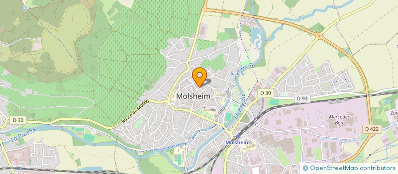 localisation de l'entreprise DM SERVICES à MOLSHEIM