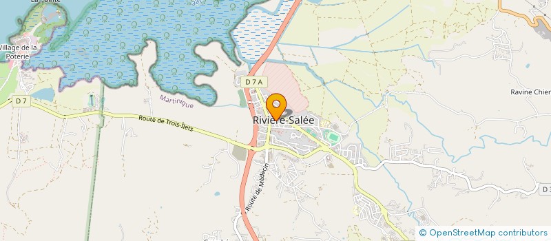 localisation de l'entreprise DMDRONE à RIVIERE SALEE