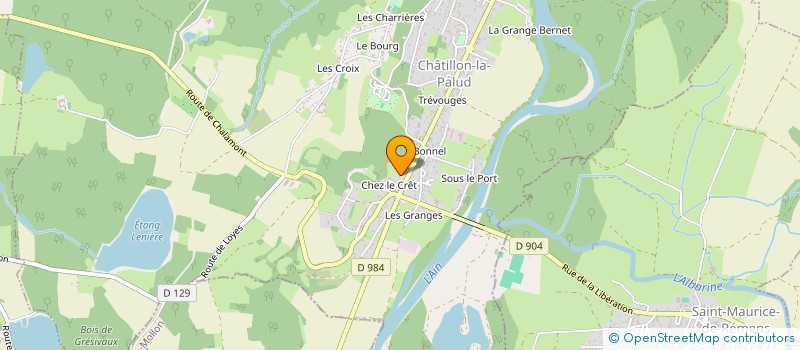 localisation de l'entreprise DMH RENOVATION à CHATILLON-LA-PALUD