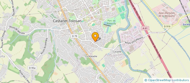 localisation de l'entreprise DMS 31 à CASTANET-TOLOSAN