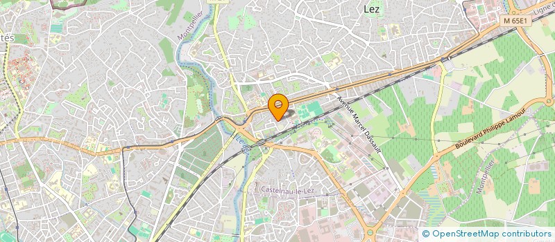 localisation de l'entreprise DMS à CASTELNAU-LE-LEZ