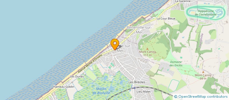 localisation de l'entreprise DMZ14 à BLONVILLE-SUR-MER