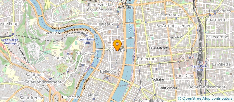 localisation de l'entreprise DN SERVICES à LYON