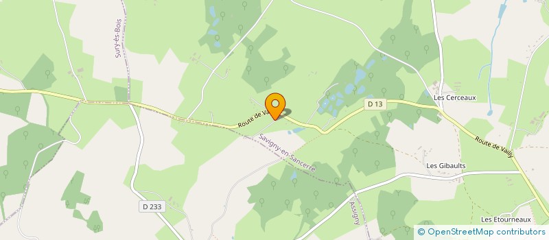 localisation de l'entreprise DNA  SAVIGNY-EN-SANCERRE