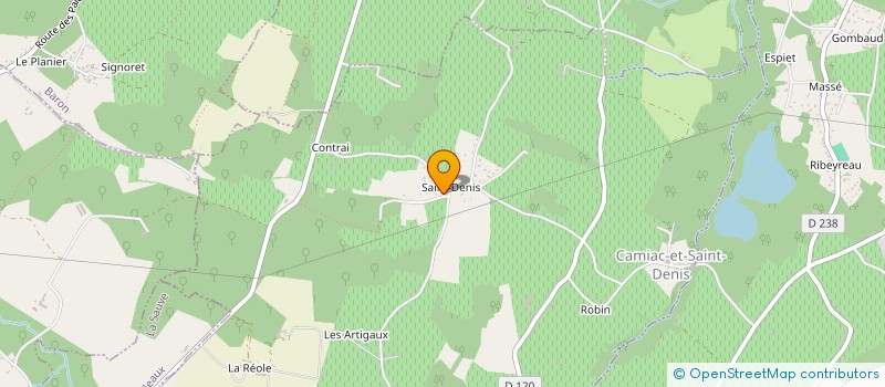 localisation de l'entreprise DNERGIE33  SAINT-QUENTIN-DE-BARON