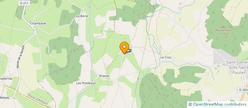 localisation de l'entreprise DNMC  SAINT-PAULIEN