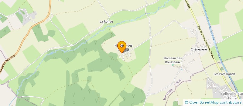 localisation de l'entreprise DNS  BEAULIEU-SUR-LOIRE
