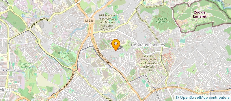 localisation de l'entreprise DO IT GREEN PAYSAGE à MONTPELLIER