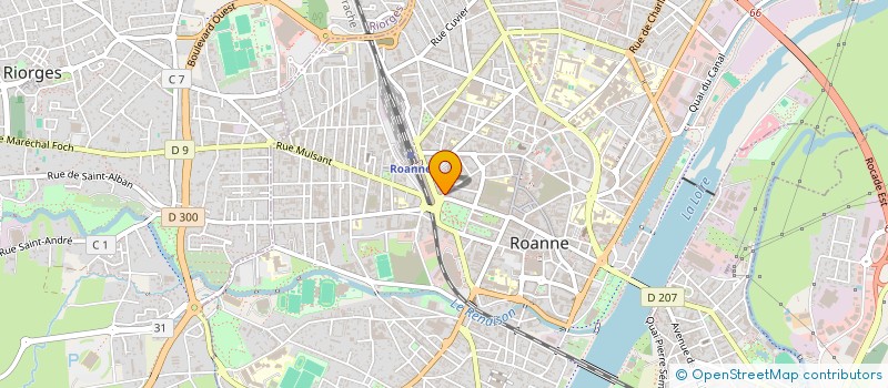 localisation de l'entreprise DOCKS DU BLANC à ROANNE