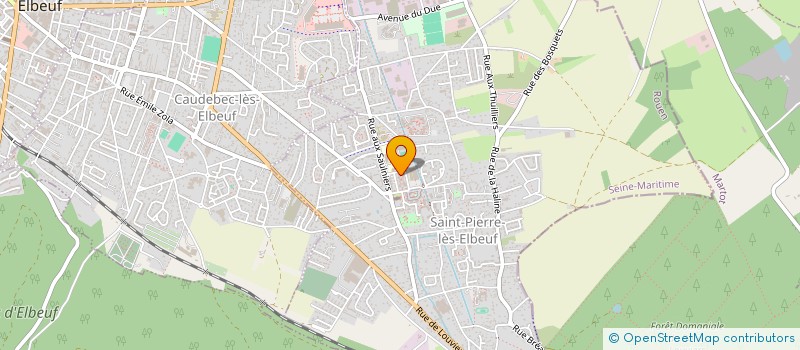 localisation de l'entreprise DOCQUIN BRICOUT IMMO  SAINT-PIERRE-LES-ELBEUF