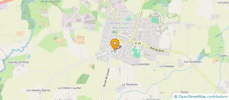 localisation de l'entreprise DOCTEUR CAMILLE BRIAND  BREAL-SOUS-MONTFORT