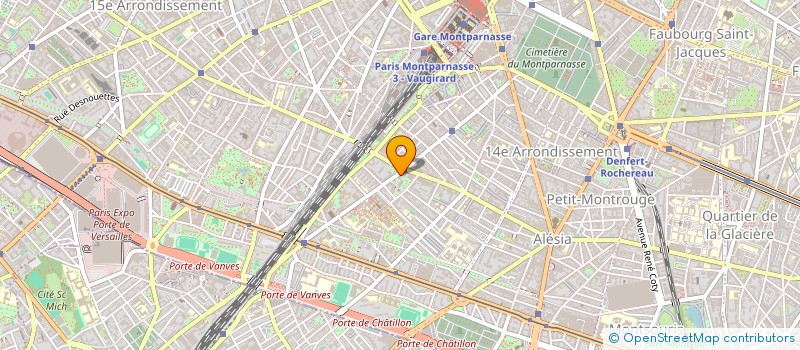 localisation de l'entreprise DOCTEUR SINASI YILDIZ  PARIS