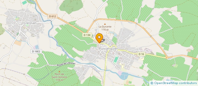 localisation de l'entreprise DOGS  PUISSERGUIER