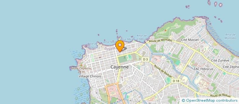 localisation de l'entreprise DOM COM 1176  CAYENNE