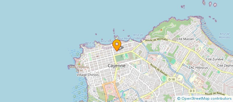 localisation de l'entreprise DOM COM 1182  CAYENNE