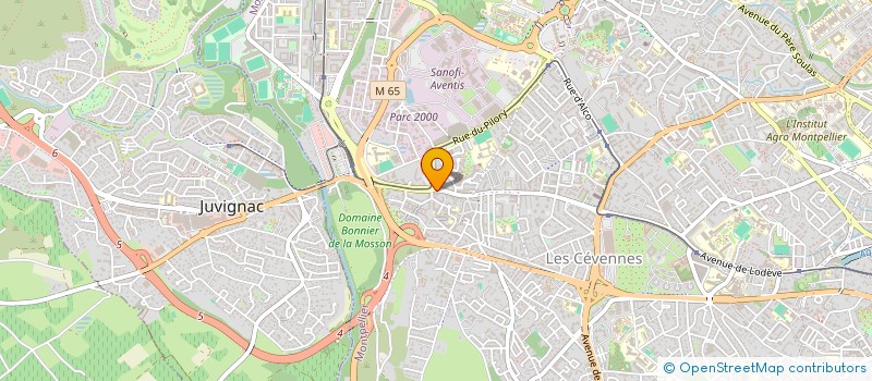 localisation de l'entreprise DOMAINE AGRI ET SERVICE à MONTPELLIER
