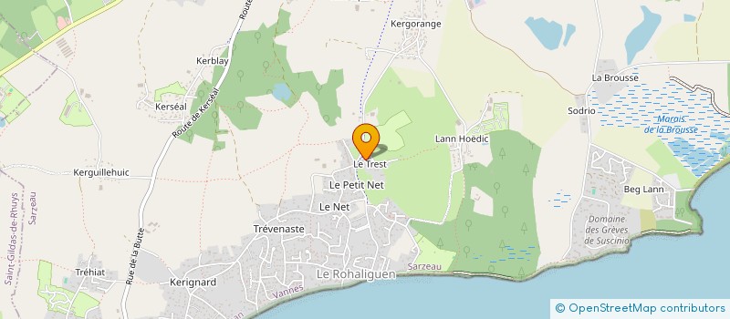 localisation de l'entreprise DOMAINE AN TREST à SARZEAU