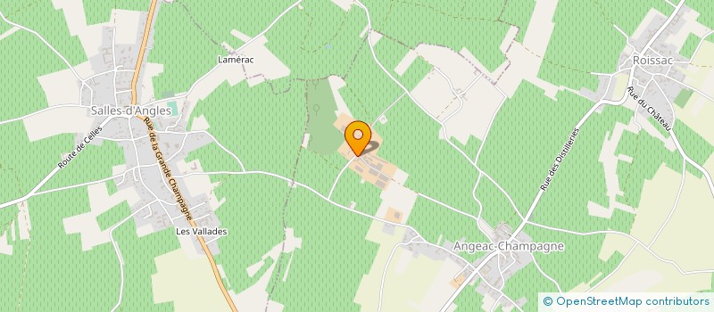 localisation de l'entreprise DOMAINE BOINAUD à ANGEAC-CHAMPAGNE