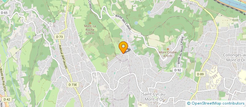 localisation de l'entreprise DOMAINE BOUCHY-BRICHANT ET AMIS  SAINT-CYR-AU-MONT-D'OR