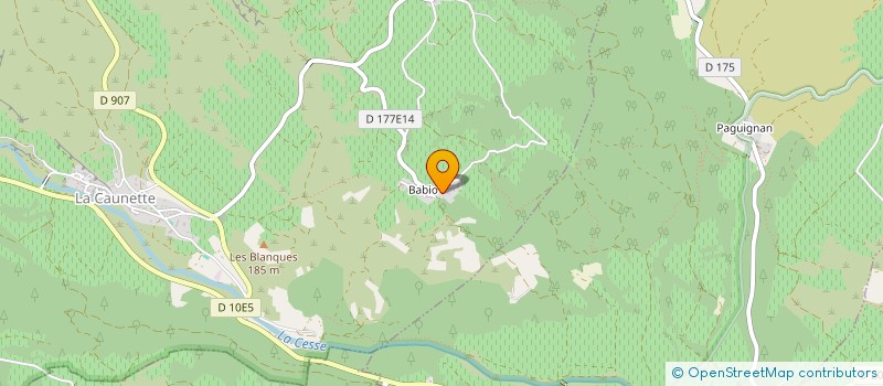 localisation de l'entreprise DOMAINE DE BABIO  LA CAUNETTE