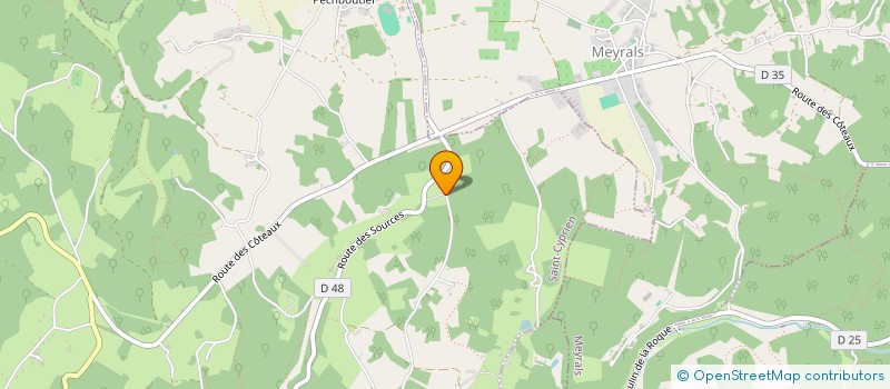 localisation de l'entreprise DOMAINE DE BAGNEGROLE  SAINT-CYPRIEN