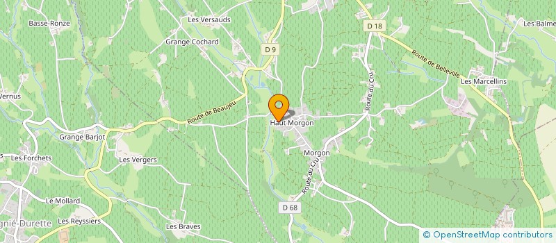 localisation de l'entreprise DOMAINE DE L'EGLANTINE à VILLIE-MORGON