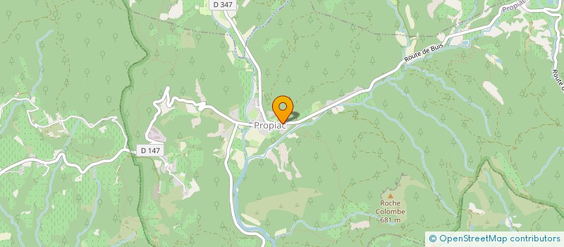 localisation de l'entreprise DOMAINE DE LA BERGERIE  PLAISIANS