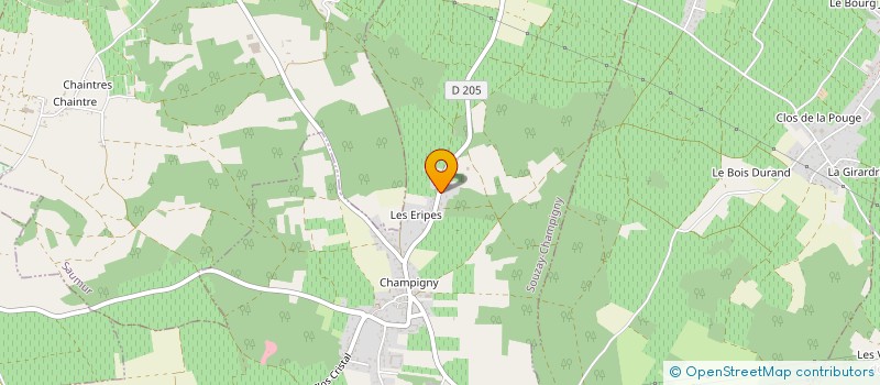 localisation de l'entreprise DOMAINE DE LA BESSIERE à SOUZAY-CHAMPIGNY