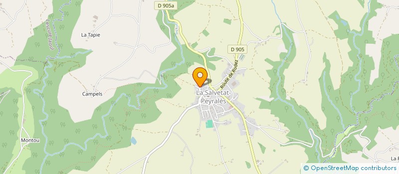 localisation de l'entreprise DOMAINE DE LA CAMBONNE  LA SALVETAT-PEYRALES