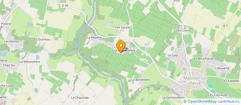 localisation de l'entreprise DOMAINE DE LA GRENAUDIERE à MAISDON-SUR-SEVRE