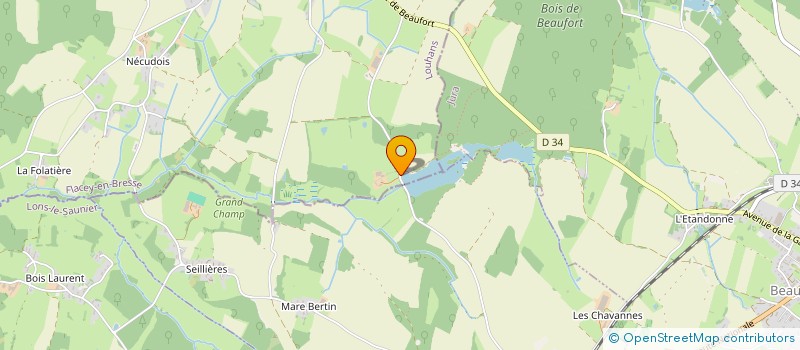 localisation de l'entreprise DOMAINE DE LA LOGE à FLACEY-EN-BRESSE