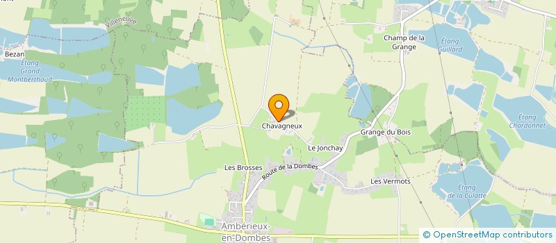 localisation de l'entreprise DOMAINE DE LA NETTE ROUSSE à AMBERIEUX-EN-DOMBES