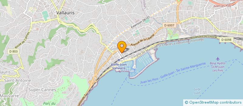 localisation de l'entreprise DOMAINE DE LA PATULIERE à VALLAURIS
