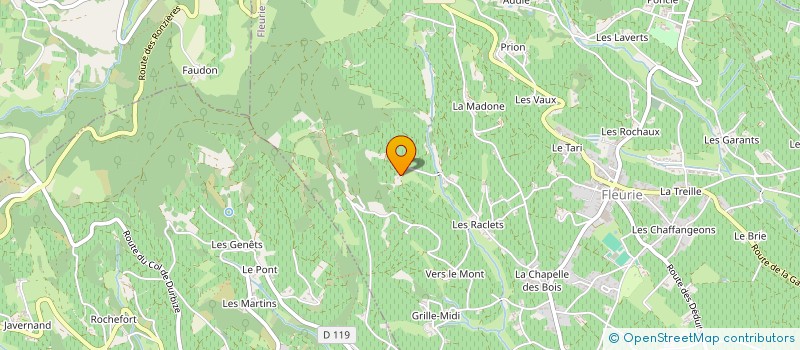 localisation de l'entreprise DOMAINE DE LA PRESLE à FLEURIE