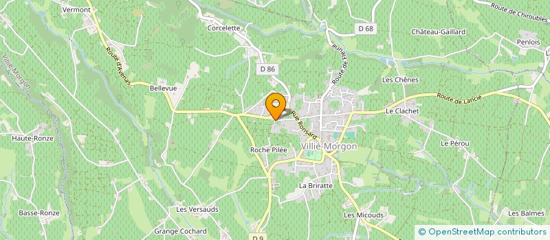 localisation de l'entreprise DOMAINE DE LA ROCHE PILEE à VILLIE-MORGON
