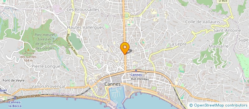 localisation de l'entreprise DOMAINE DE LA TOUR à CANNES