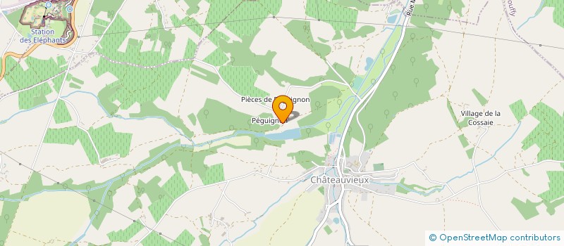 localisation de l'entreprise DOMAINE DE PEGUIGNON  CHATEAUVIEUX
