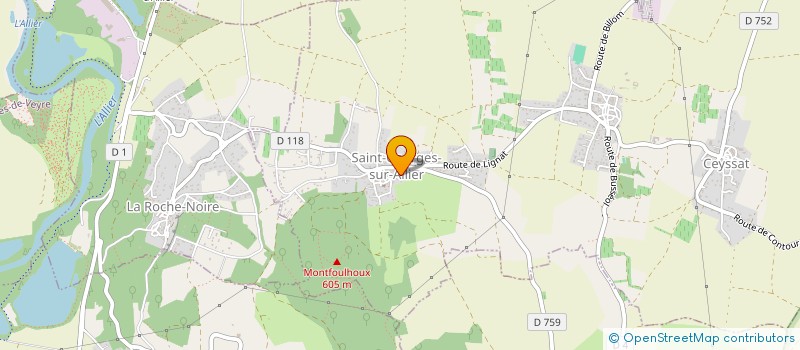 localisation de l'entreprise DOMAINE DE PEYRA à SAINT-GEORGES-SUR-ALLIER