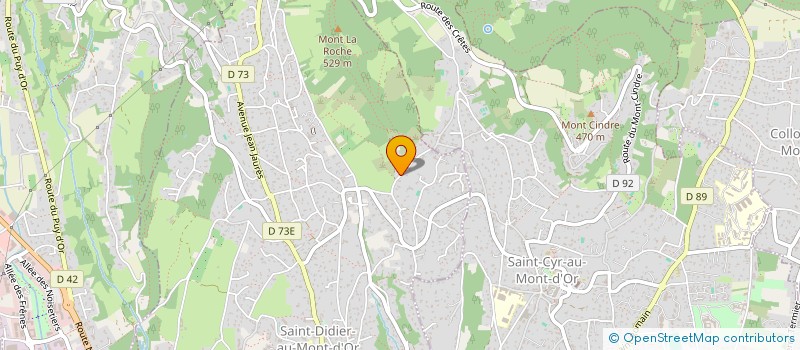localisation de l'entreprise DOMAINE DE REVELLON  SAINT-DIDIER-AU-MONT-D'OR