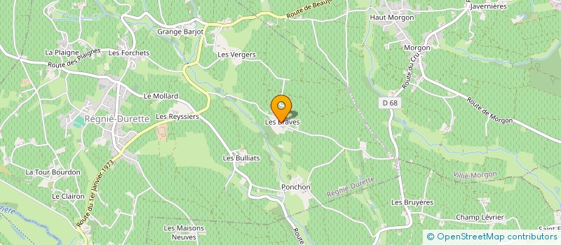 localisation de l'entreprise DOMAINE DES BRAVES à REGNIE-DURETTE