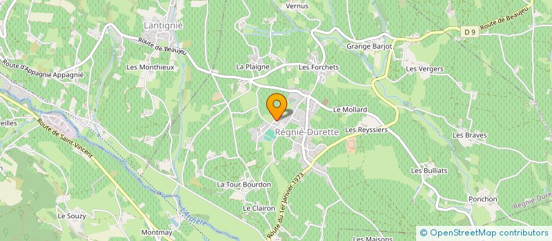 localisation de l'entreprise DOMAINE DES JUMELLES  QUINCIE-EN-BEAUJOLAIS