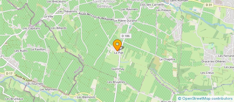 localisation de l'entreprise DOMAINE DES PINS à SAINT-AMOUR-BELLEVUE