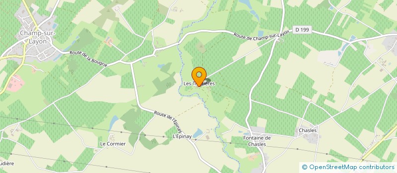 localisation de l'entreprise DOMAINE DES TROTTIERES à BELLEVIGNE-EN-LAYON