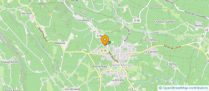 localisation de l'entreprise DOMAINE DONZEL à VILLIE-MORGON