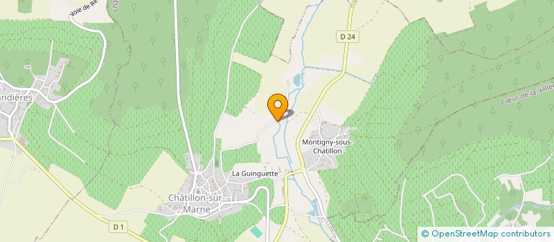 localisation de l'entreprise DOMAINE DU MOULIN DE L'ETANG  CHATILLON-SUR-MARNE